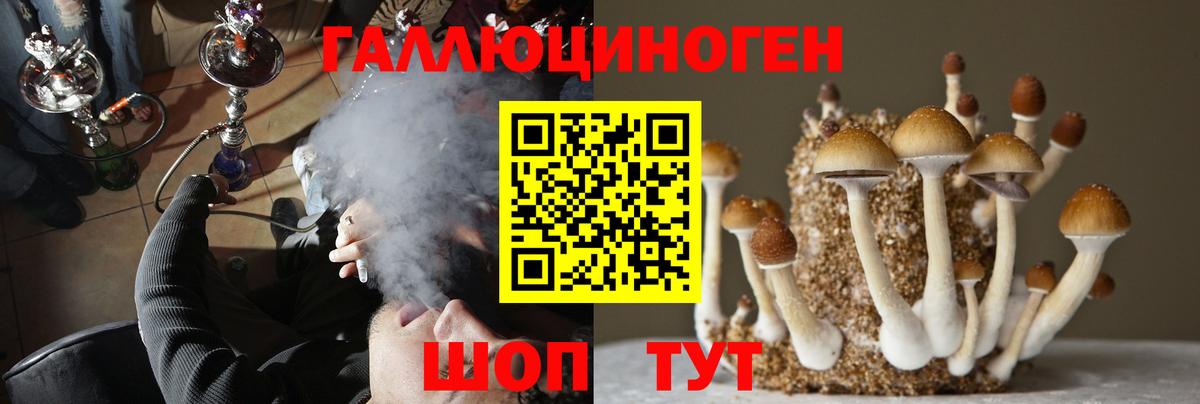 Тавда  Галлюциногенные грибы ЛСД  Псилоцибиновые грибы Psilocybe  Вход с VPN 
